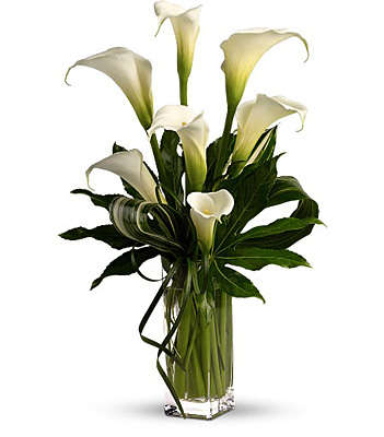 My Fair Lady by Teleflora